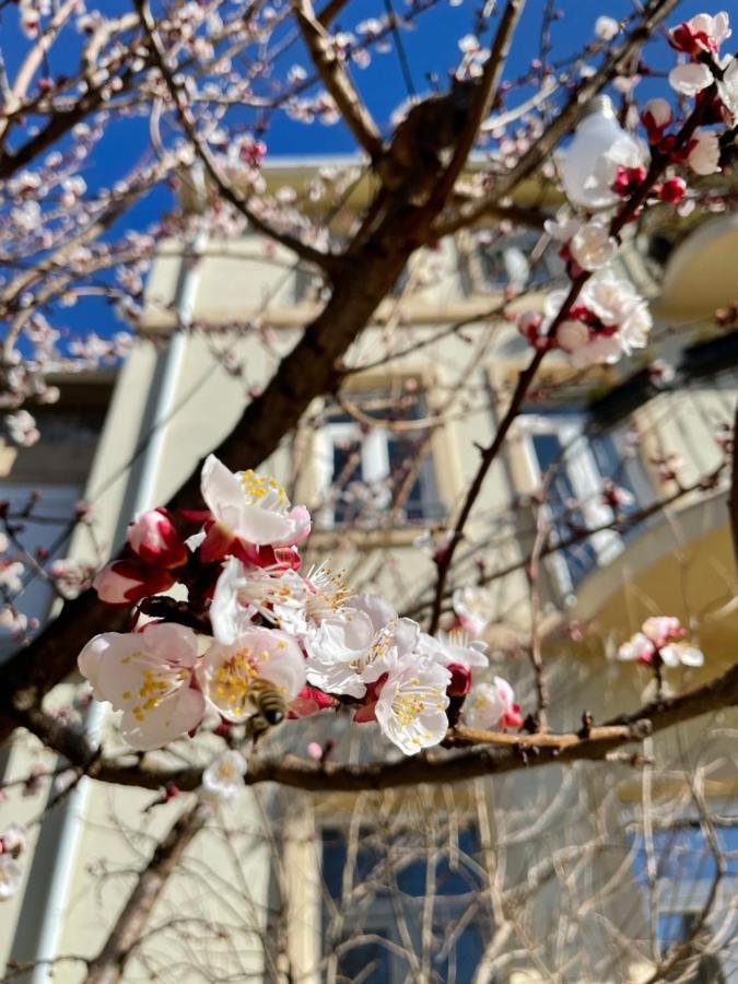 Aurelia Rooms Mostar Zewnętrze zdjęcie