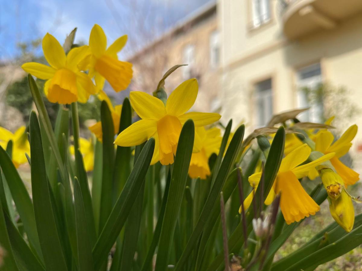 Aurelia Rooms Mostar Zewnętrze zdjęcie